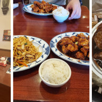 Asian Wok Tampa