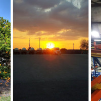 Florida's Natural Growers