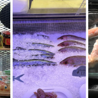 Fresh Local Seafood