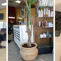 Haircut Place