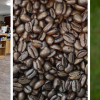 Hilo Coffee Mill
