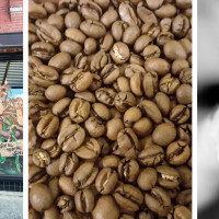 Ingenious Coffee Roasters