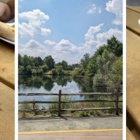 Leybourne Lakes Country Park Cafe