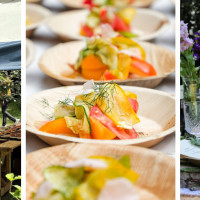 Nomadic Dinners