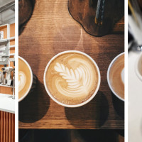 Pilot Coffee Roasters