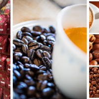 Safari Coffee Roasters