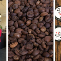 Solo Brew & Roasters