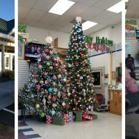 Star Barber Shop