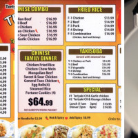 Teriyaki Wok 9